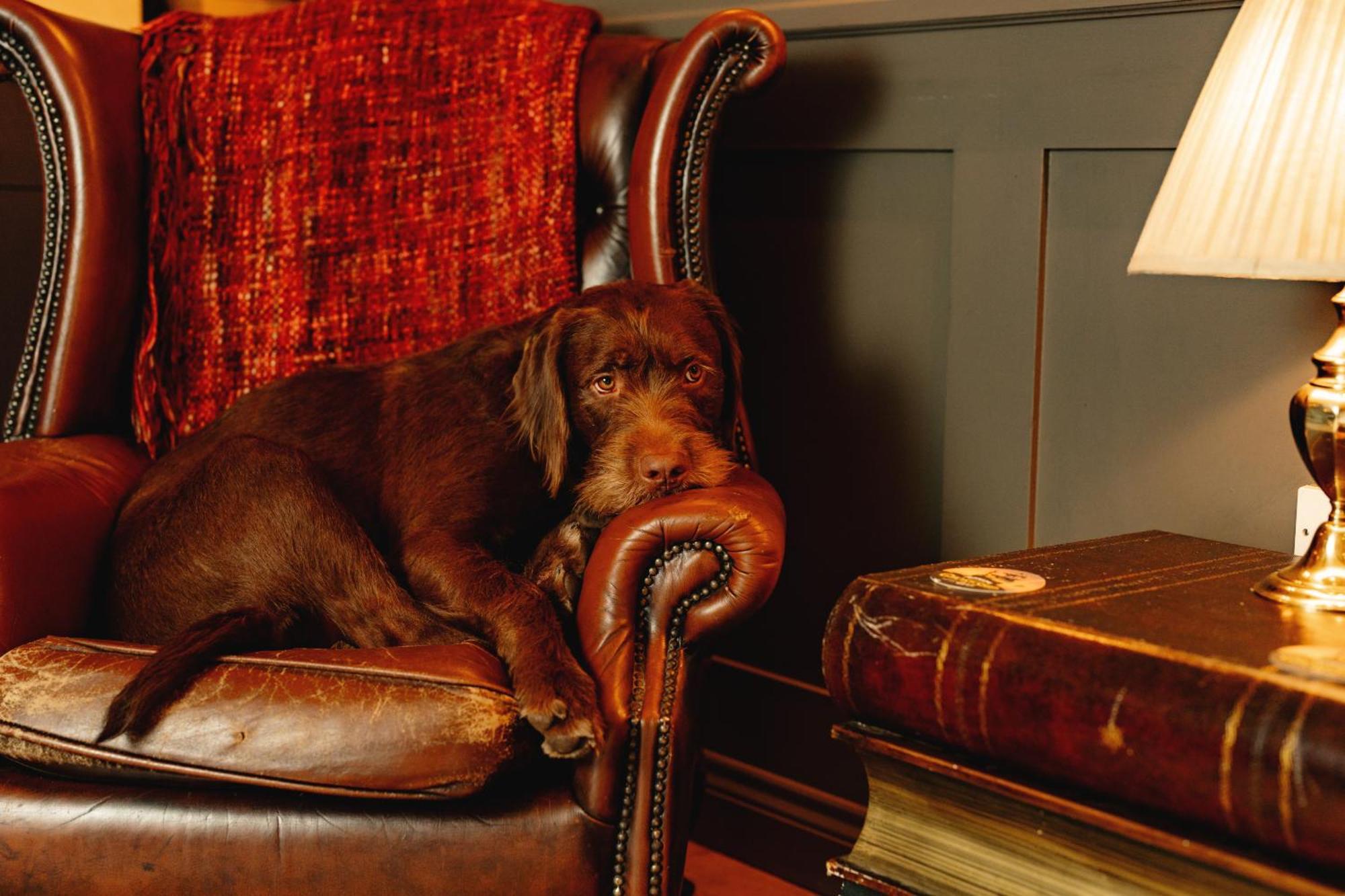 Wheatacre White Lion Hotel Burgh Saint Peter Bagian luar foto